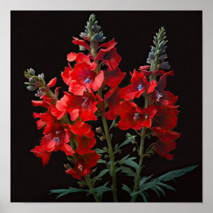 Red Delphinium Flower Art Print Poster