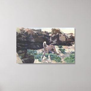 Red Desert, WY - Wild Palomino Stallion captured Canvas Print