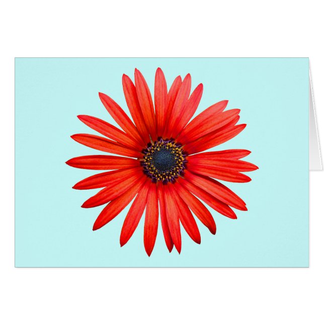 Red Devil (Front Horizontal)