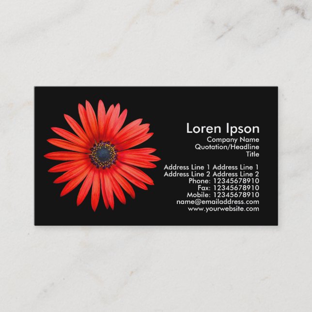 Red Devil - Black Business Card (Front)