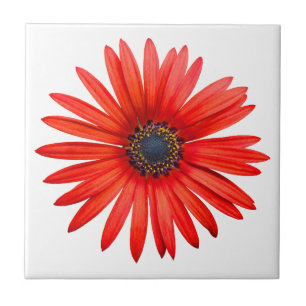 Red Devil Tile