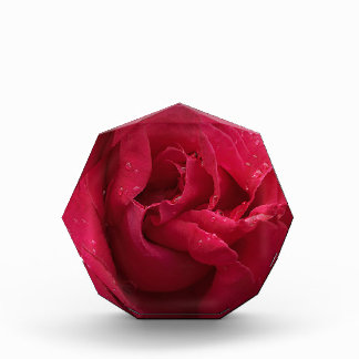 Red Diamonds Photo Block
