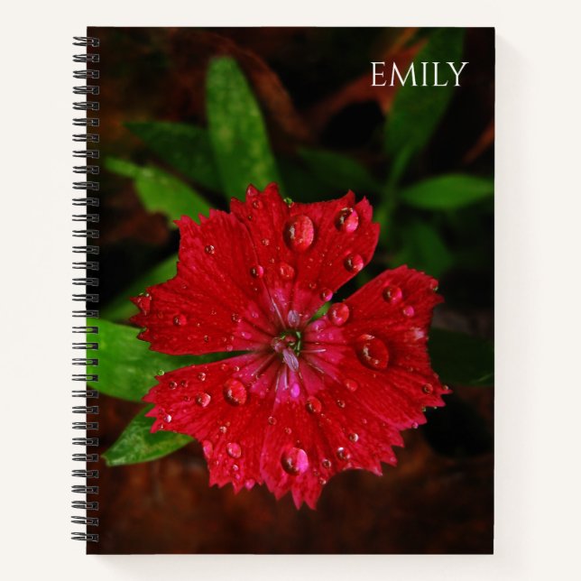 Red Dianthus Flower & Raindrops Photo, Custom Name Notebook (Front)