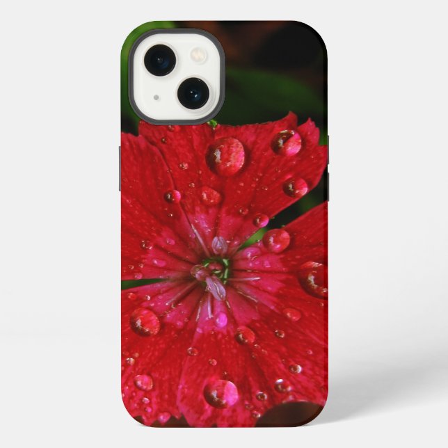 Red Dianthus With Raindrops iPhone Case (Back)
