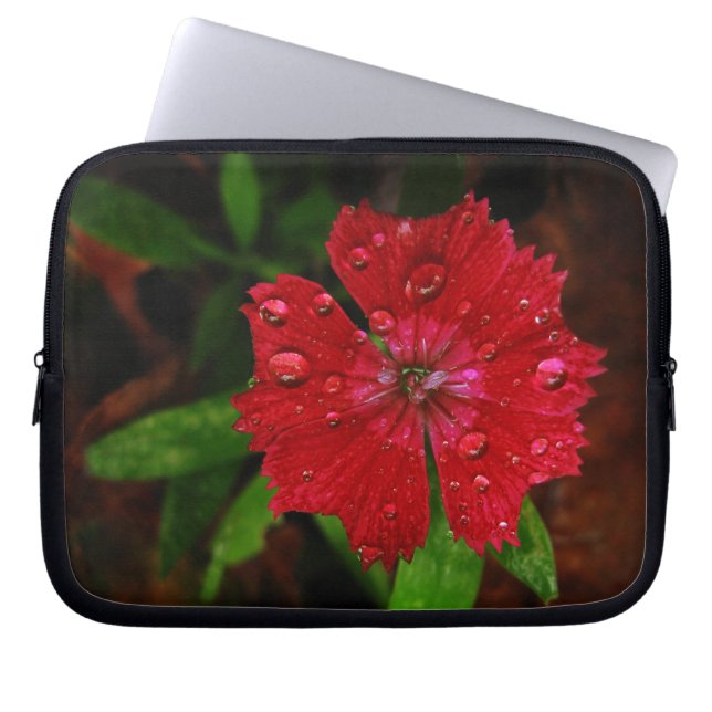 Red Dianthus With Raindrops Laptop Sleeve (Front)
