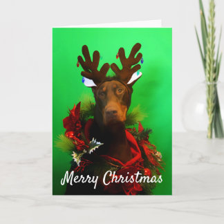 Red Doberman Christmas card