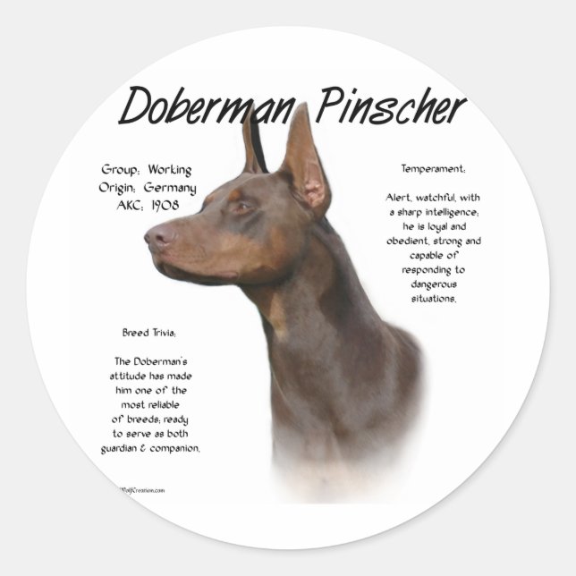 Red Doberman History  Classic Round Sticker (Front)