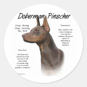 Red Doberman History Classic Round Sticker