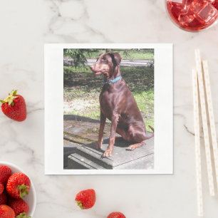 red doberman napkin