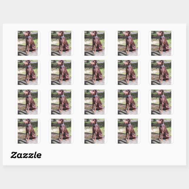 red doberman square sticker (Sheet)
