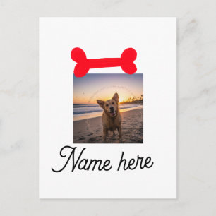 Red dog bone photo pet dog cat name simple gifts postcard