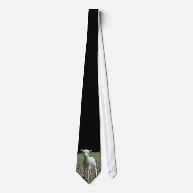 Red Dog Ranch - Lamb Tie (Front)