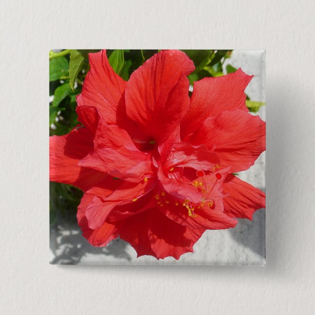 Red Double Hibiscus Flower 15 Cm Square Badge (Front)