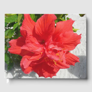 Red Double Hibiscus Flower Guest Book