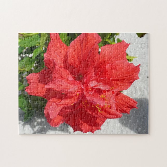Red Double Hibiscus Flower Jigsaw Puzzle (Horizontal)