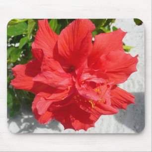 Red Double Hibiscus Flower Mouse Mat
