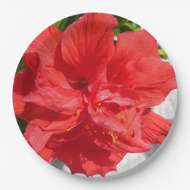 Red Double Hibiscus Flower Paper Plate (Front)