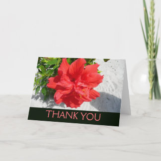 Red Double Hibiscus Flower Thank You Card