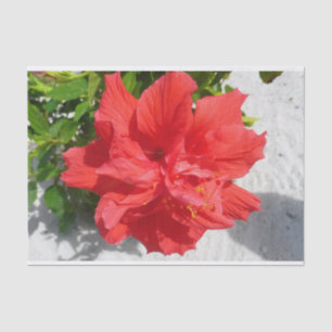 Red Double Hibiscus Flower Tissue Paper