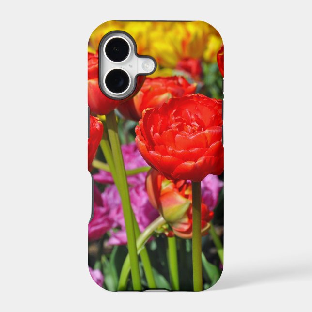 Red double tulips (Back)