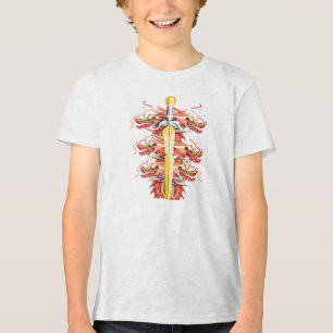 Red Dragon and golden Sword Tri-Blend Shirt