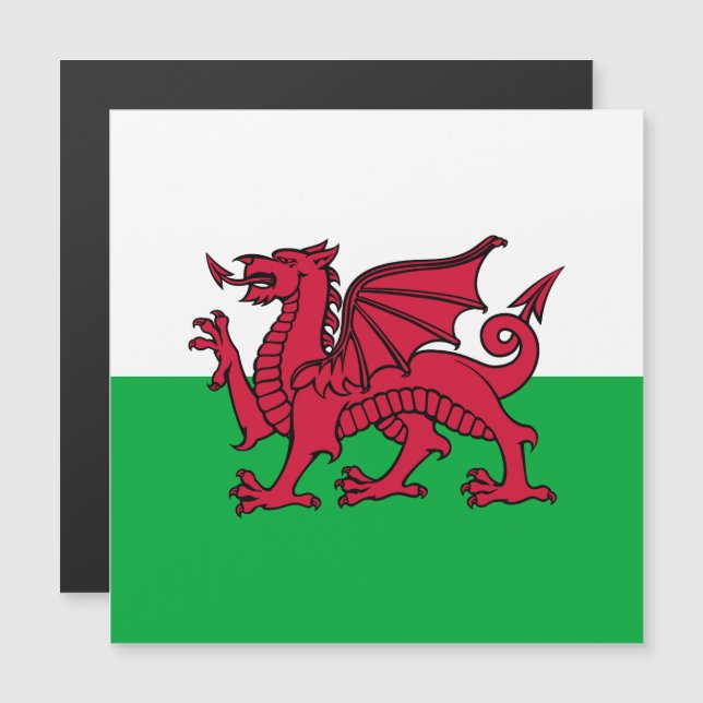 Red Dragon Celtic Flag of Wales & Welsh (Front/Back)