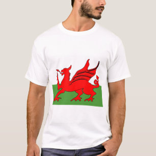 Red dragon Welsh flag T-Shirt