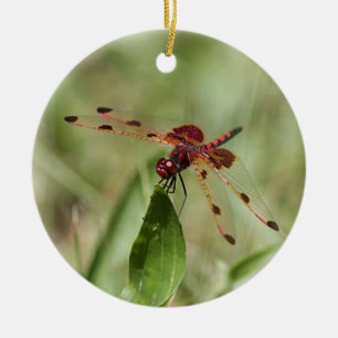 Red dragonfly ceramic tree decoration