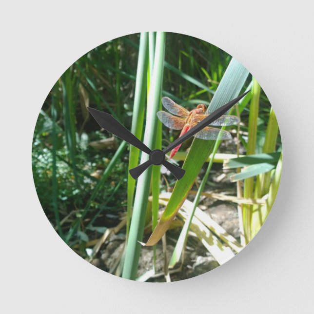 Red Dragonfly Clinging on Leaf Round Clock (Front)