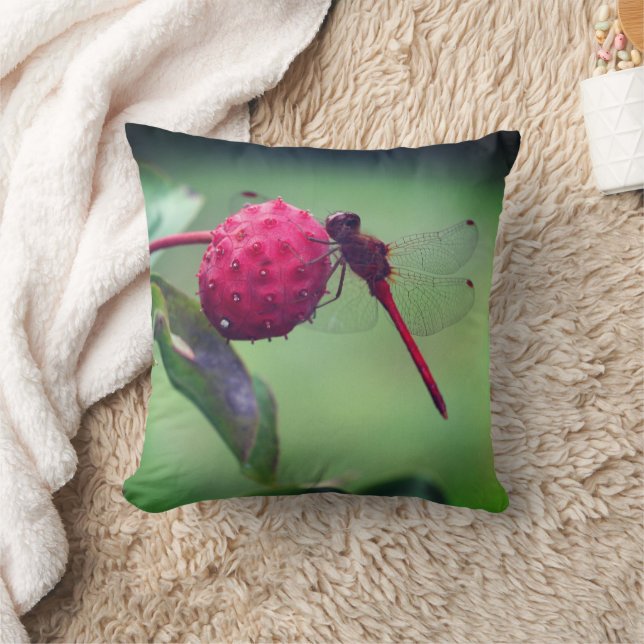Red Dragonfly On Dogwood Fruit Close Up  Cushion (Blanket)
