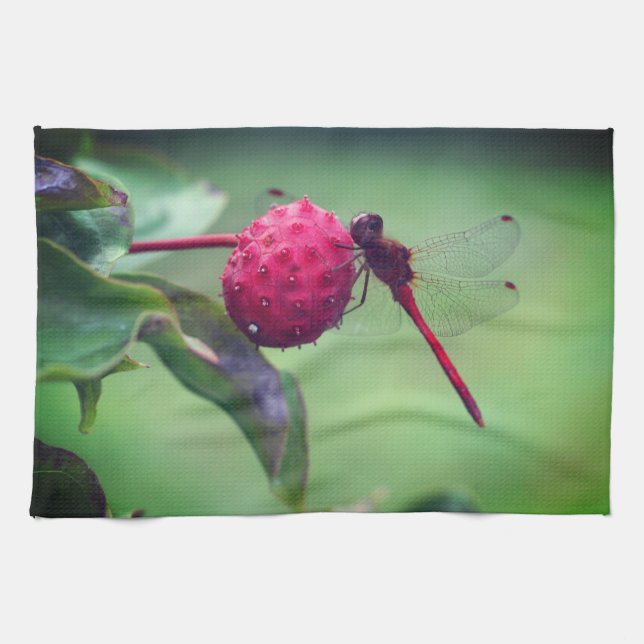 Red Dragonfly On Dogwood Fruit Close Up  Tea Towel (Horizontal)