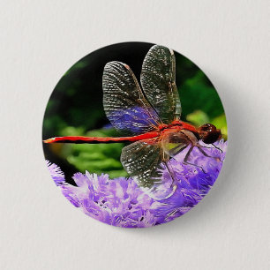 Red Dragonfly on Violet Purple Flowers 6 Cm Round Badge