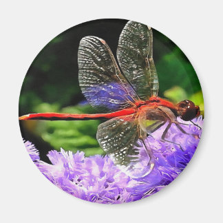Red Dragonfly on Violet Purple Flowers Magnet