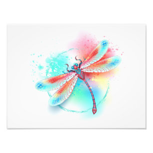 Red dragonfly on watercolor background photo print
