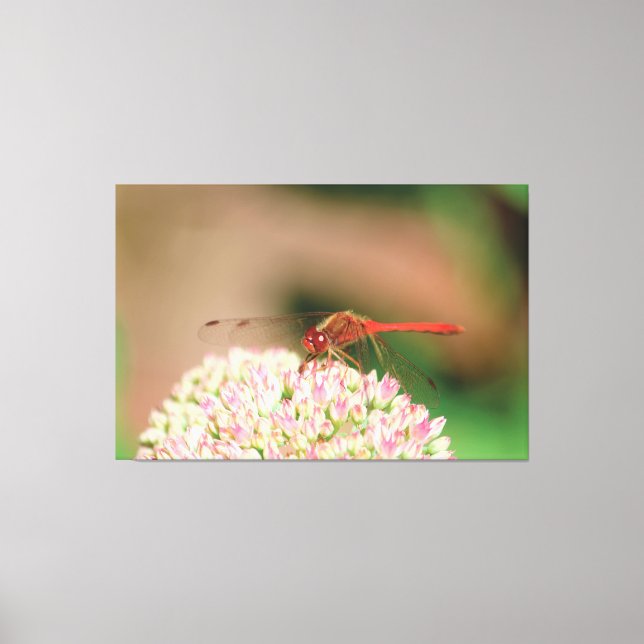 Red Dragonfly Photograph Canvas Print (Front)