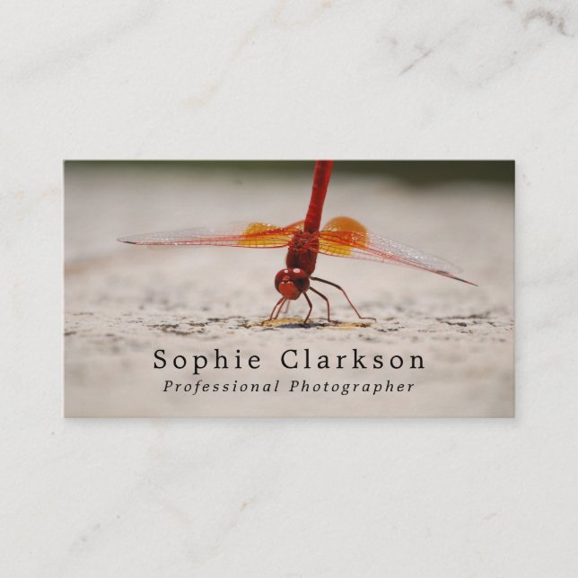 Red Dragonfly, Photographer, Photography Business Card (Front)