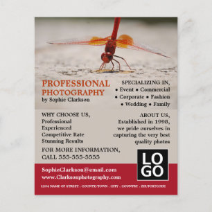 Red Dragonfly, Photography, Photographer Hire Flyer