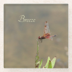 Red dragonfly resting on a straw glass coaster