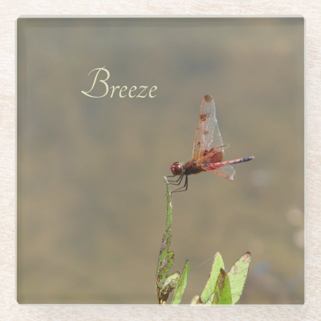 Red dragonfly resting on a straw glass coaster (Front)