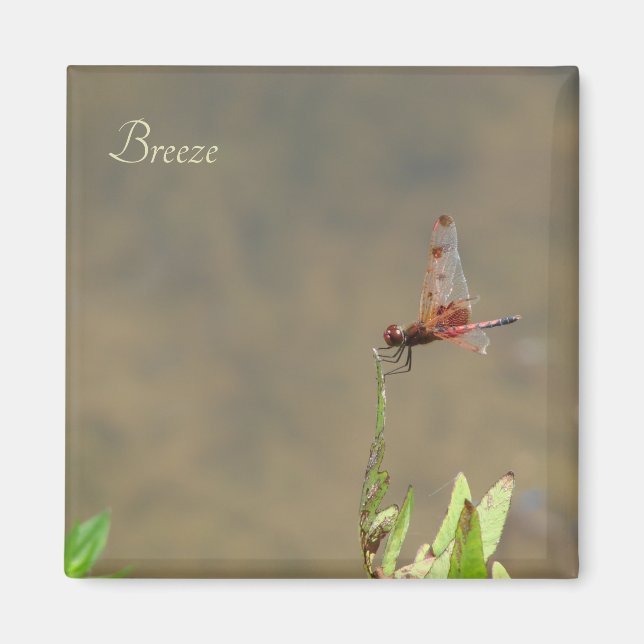 Red dragonfly resting on a straw magnet (Front)