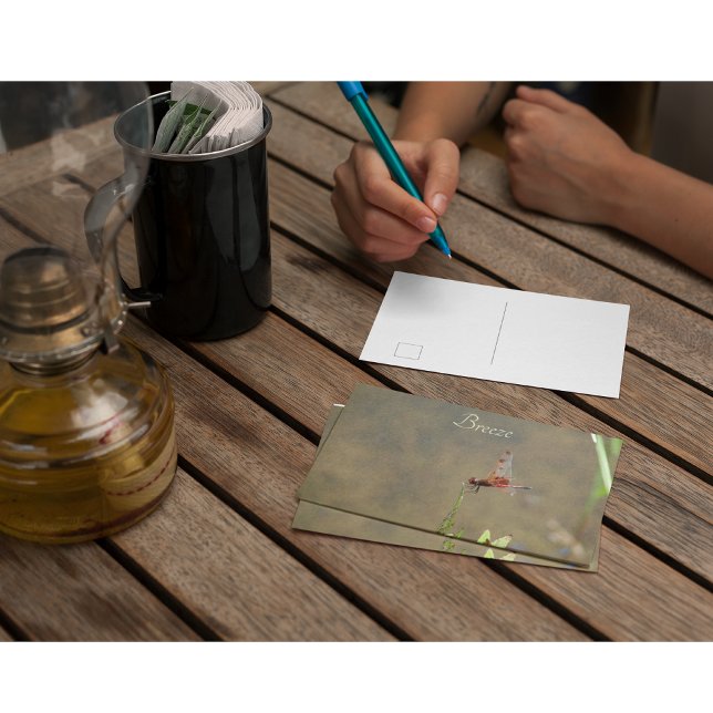 Red dragonfly resting on a straw postcard (Creator Uploaded)