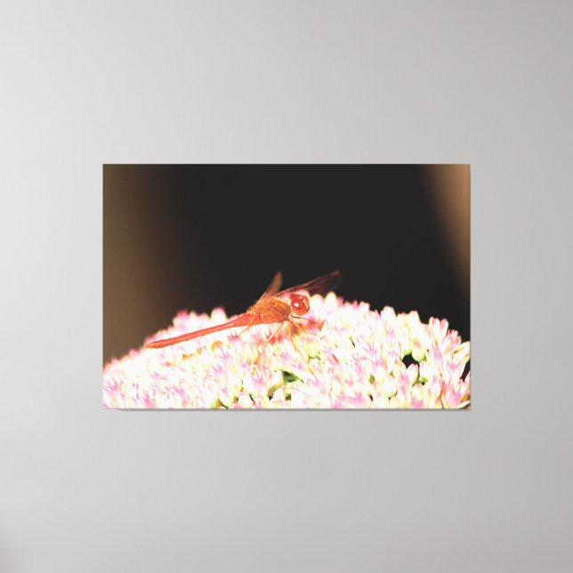 Red Dragonfly With Pink Canvas Print (Front)