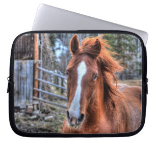 Red Dun Horse and Barn 2 - Equine Photo Portrait Laptop Sleeve