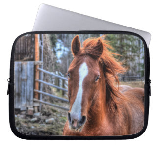 Red Dun Horse and Barn 2 - Equine Photo Portrait Laptop Sleeve