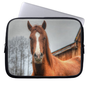 Red Dun Horse and Barn - Equine Photo Portrait Laptop Sleeve
