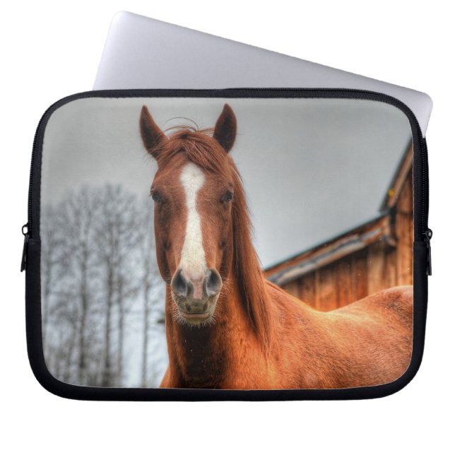 Red Dun Horse and Barn - Equine Photo Portrait Laptop Sleeve (Front)