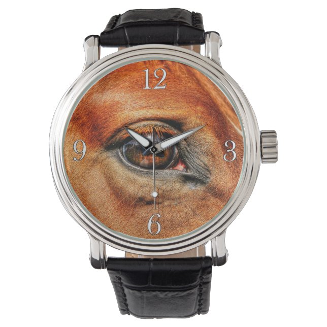 Red Dun Horse Eye Equine Photo Portrait Watch (Front)