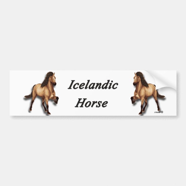 Red Dun Icelandic Horse Bumper Sticker (Front)