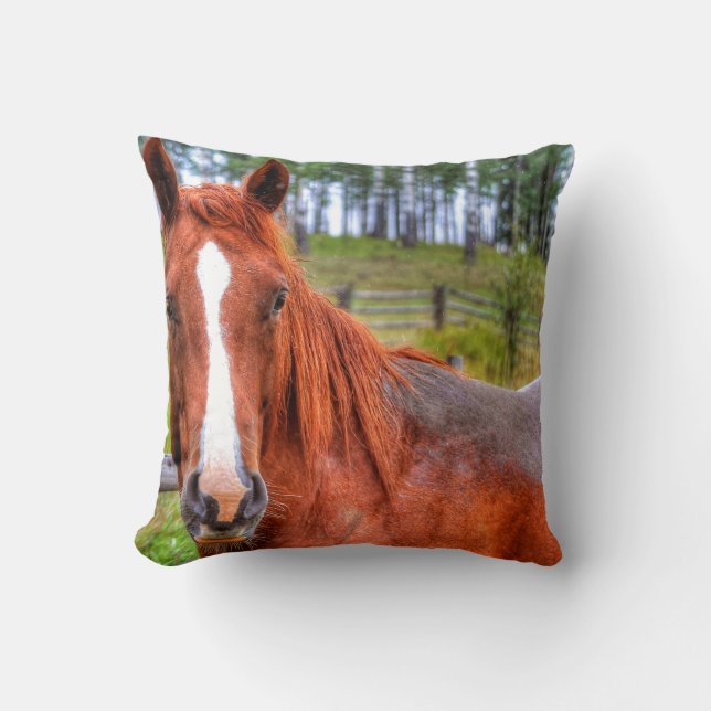 Red Dun Ranch Horse Animal-lover Photo 2 Cushion (Front)