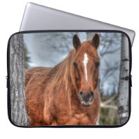 Red Dun Ranch Horse Animal-lover Photo